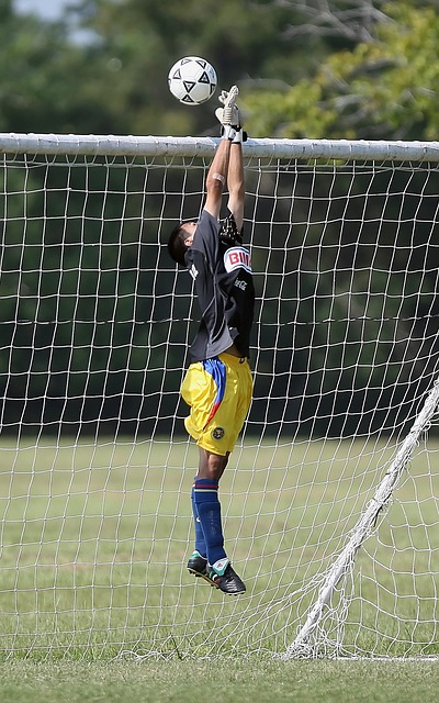 在明年年初 在明年年初