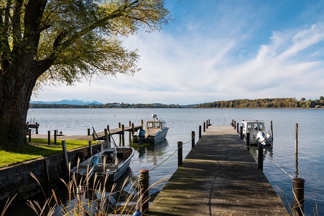 归化球员虽 归化球员虽