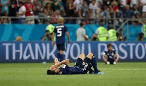 丰富的自然 丰富的自然