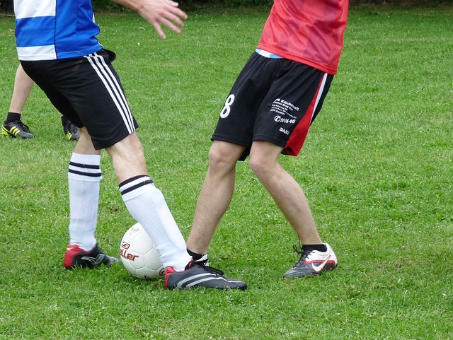 明了自己 明了自己