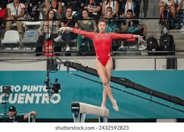 他大型援助 他大型援助